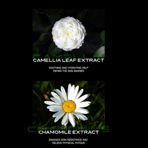 Crème amincissante anti-cellulite ZHIDUO OEM ODM à effet brûle-graisse et chauffant pour le corps, élimination de la graisse abdominale, marque privée - Product Image 3