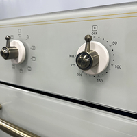Rétro forno de embutir 60 horno electrico électrique à pizza maison construit en four