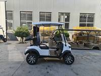 Voiturette de golf électrique surélevée 2 places, directement de l'usine, idéale pour les clubs, les fermes et les villas de vacances