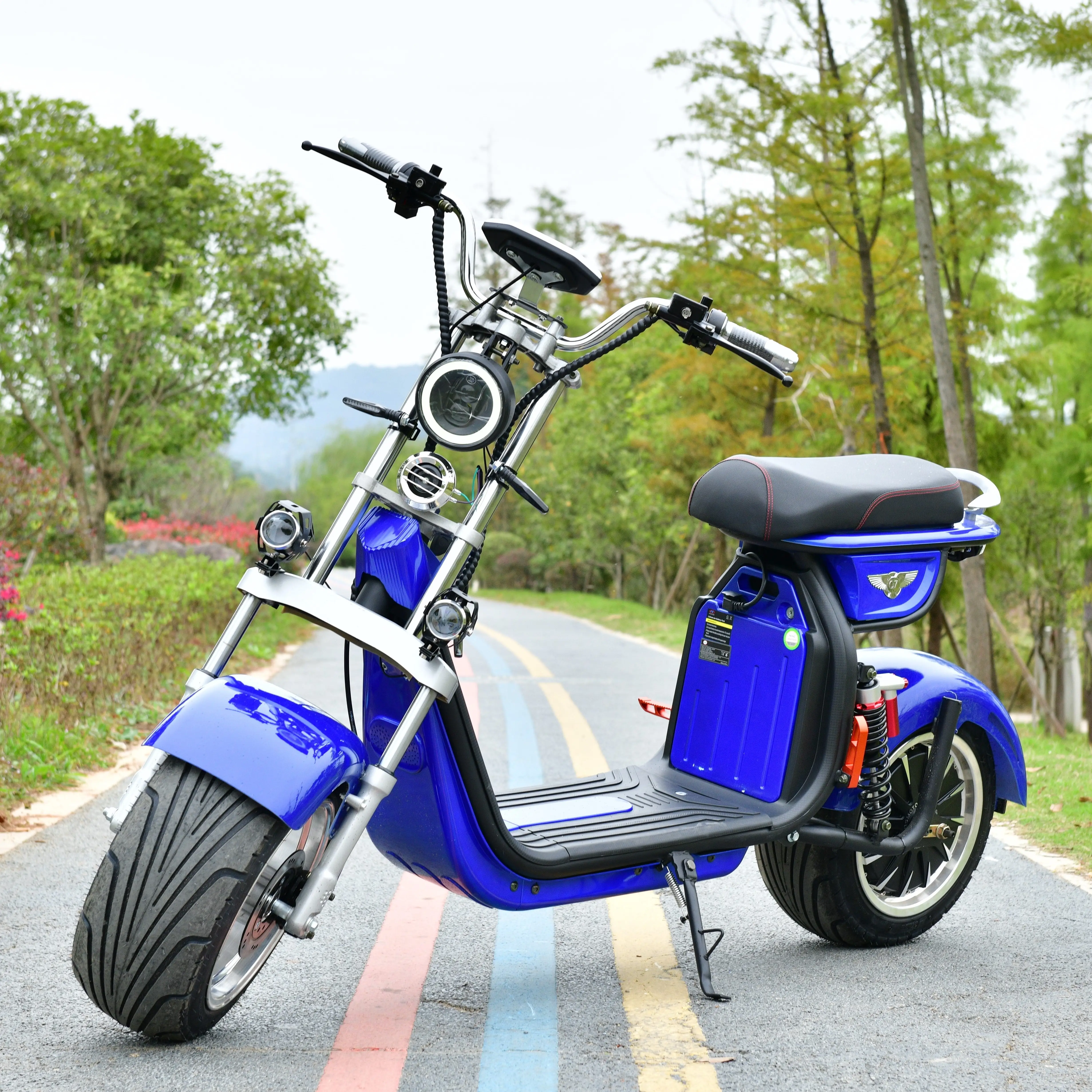 1000W-1500W 40-80KM Scooter elektrikli Scooter citycoco bisiklet motosiklet 2Big tekerlekli elektrikli motosiklet yetişkinler için