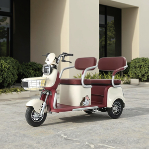<span class=keywords><strong>Tricycle</strong></span> <span class=keywords><strong>électrique</strong></span> pliable 600W sans balais pour adultes, à 3 roues, à carrosserie ouverte, pour passagers handicapés, livraison rapide depuis la Chine - Product Image 1