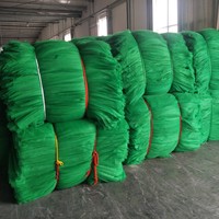 HDPE Monofilament beschermende anti-vogel dadelpalm plastic gaasnet zak voor boombescherming dadelpalm beschermzak netzakken voor dadels
