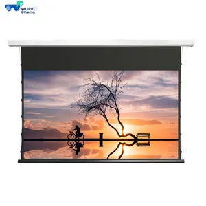 Wupro/OEM 100 inch Gray Crystal Remote Pull Down Projector Screen Automatic Drop Down Soft Enhanced Gain ALR Projector Screen