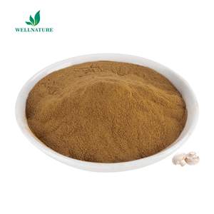 Poudre AHCC en vrac Vente d'usine Extrait direct <span class=keywords><strong>de</strong></span> champignons AHCC Poudre AHCC <span class=keywords><strong>de</strong></span> haute qualité Meilleur prix Extracto <span class=keywords><strong>de</strong></span> Hongo Échantillon OEM ODM - Product Image 3