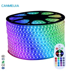 Striscia lunga del Dimmer 2021 V Rgb Led della striscia della luce dell'acquario Led di manifestazione della luce della piscina 220 RGB di 5M Rgb, strisce principali con il telecomando