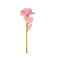 Rose LED scintillante faite à la main dans un coffret cadeau en PVC, rose éternelle de 24 cm avec lumières féériques, cadeau romantique pour la Saint-Valentin pour elle