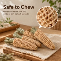 Bâton à mâcher écologique en épi de maïs pour animaux de compagnie, jouet pour hamster, lapin, cochon d'Inde, friandises à mâcher, accessoires pour le nettoyage des dents pour petits animaux