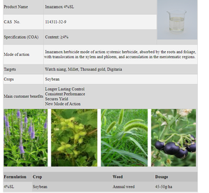 สารกำจัดวัชพืชอิมาซาม็อกซ์ กำจัดวัชพืชได้อย่างมีประสิทธิภาพ ปลอดภัย ทนทานต่ออุณหภูมิต่ำได้ดีเยี่ยม - Product Image 3