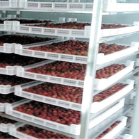 Ligne de transformation industrielle de fruits secs |   Machine automatique de fabrication de chips et de confitures de fruits, équipement de déshydratation de fruits haute capacité