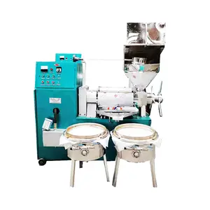 High capacity sunflower nut peanut cold press screw oil press machine