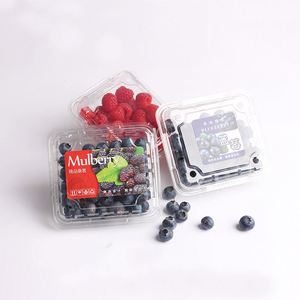 Fruit Pads Strawberry/blueberry 76*76mm Whole Sale Supermarket High Quality Water Absorbent Chicken Meat Poultry Pads - Product Image 1