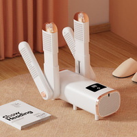 Séchoir à chaussures électrique portable, désodorisant et sécheur de chaussures pour bottes, baskets et chaussures d'extérieur