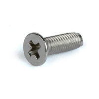 IIIBEAR Fasteners GB6561 304 Stainless Steel Cross Recessed Countersunk Head Thread Rolling Self Tapping Screw for Metal