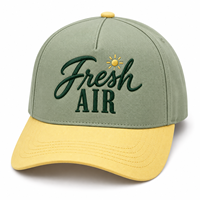 Casquettes de baseball brodées personnalisées en gros pour événements promotionnels, cadeaux d'entreprise, équipes sportives et marchandises de marque