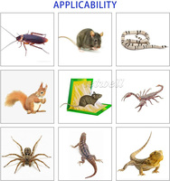 Groot Formaat Ongediertebestrijding Multi-Catch Rat Trap Muis Lijm Trap Ongediertebestrijding Plakkerige Planken Knaagdier Val