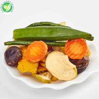 SHARP DRAGON Chips de Vegetales Mixtos y Champiñones |   Suministro a Granel de Snacks Crujientes para Compradores Globales de Marcas de Alimentos