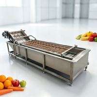 Commerciële luchtbel fruit- en groentewasmachine voor druiven, kiwi's en zachte vruchten, diepe reinigingswasmachine
