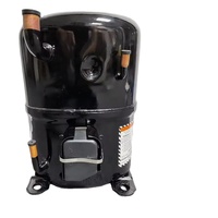 Compresor de Pistón de Baja Temperatura y Alta Presión para Refrigeración Tecumseh Francesa FH4525Y TFH4525Y 220V R134a al por Mayor