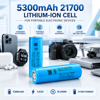 Batterie lithium-ion rechargeable haute capacité 21700 INR21700-53G1 5300mAh pour appareils électroniques portables