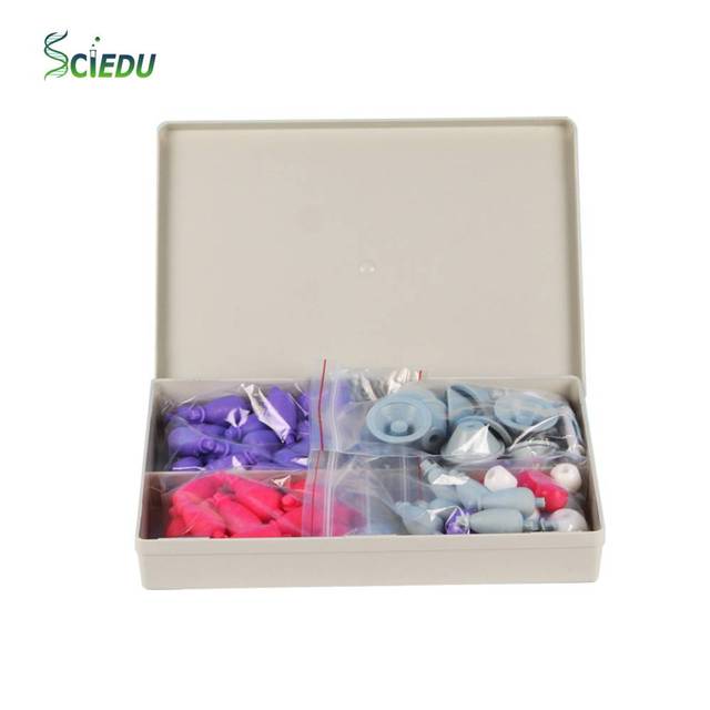 81pcs Atomic Orbital Kit Molecular Model Set Including: 1s; 2s; 2p; 3d; 2s+ 3 X 2p; & Sp, Sp2, & Sp3 Hybridized Models