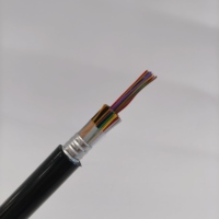 Câble de télécommunication blindé multiconducteur Yaogu GYTA53 en cuivre avec blindage APL, bande d'acier blindée et gaine HDPE, pour enfouissement direct