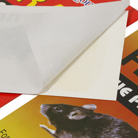 Prix d'usine, lot de 2 pièges à souris collants jetables, écologiques, pièges à souris collants