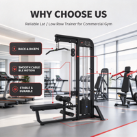 Machine de musculation à assise pour tirage vertical et lat pulldown avec pile de poids de 80 kg pour l'entraînement des dorsaux et des bras