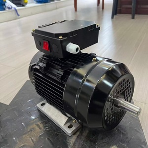 Motor eléctrico asíncrono monofásico de 0.55kw, 4 polos, 80 marcos, personalizado para el mercado turco, motor para bomba de leche con interruptor de encendido/apagado - Product Image 5
