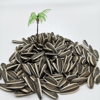 Graine de tournesol torréfiée, hybride brut, noir, blanc, chine, 5009, 363, 601, prix en tonnes, vente