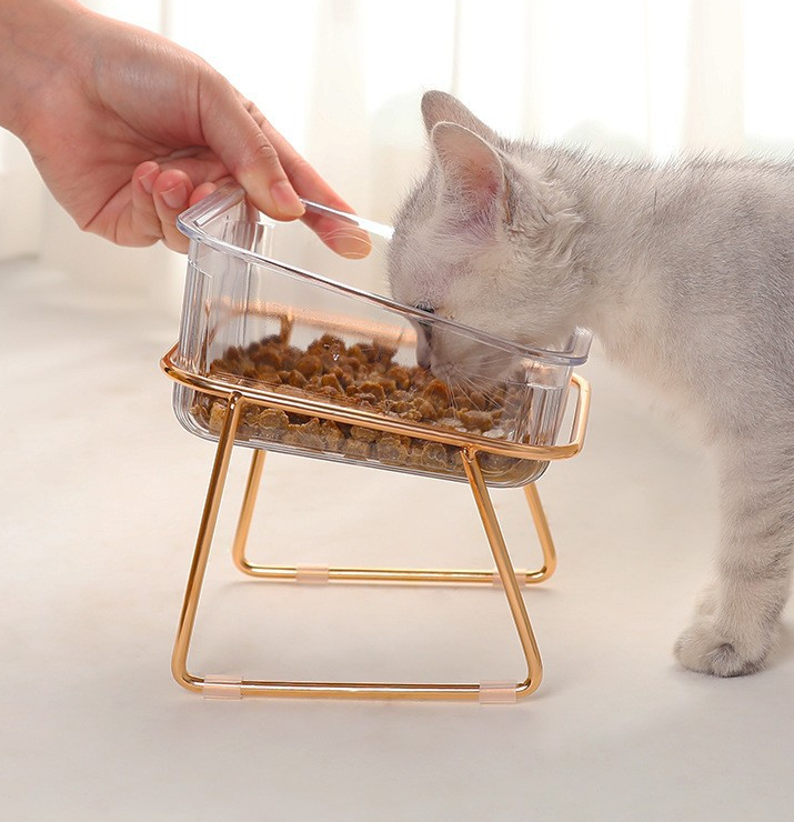 High Foot Pet Bowl - Quality Brand Cat Dog Food Water Dish - Wenzhou Waho Pet Products