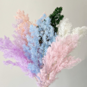 Vente en gros de fleurs conservées Asperges Fougère Ming blanche éternelle pour arrangement floral - Product Image 1