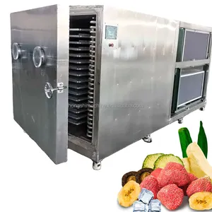 Liofilizador de alimentos, máquina de secagem a vácuo para congelar alimentos, secador de frutas secas de banana