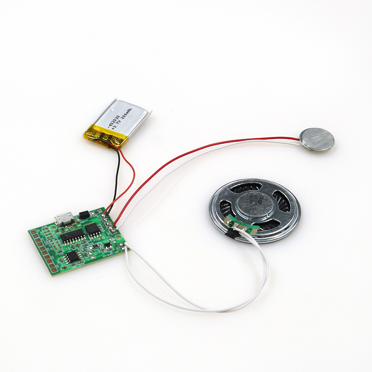 Module Sonore Enregistrable Pour Peluche Ou Boîte à Musique - Message Personnalisé, Cadeau Unique