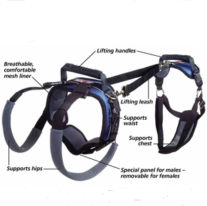 Medizinische Behandlung Ganzkörper träger Sling für Behinderte <span class=keywords><strong>Old</strong></span> <span class=keywords><strong>Pet</strong></span> Dog Safe Support Harness für große Hunde - Product Image 2