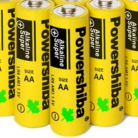 Pilas alcalinas desechables LR6 de larga duración, pilas AA de alta calidad para cerradura de puerta con huella dactilar