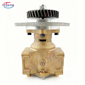 Pompa Acqua Marina JMP JPR-S7630 Sostitutiva per Sherwood P1730 P1731 Cumins 3866493 3897691 3964765 4003526 5265994 5265995 5265996 - Product Image 2