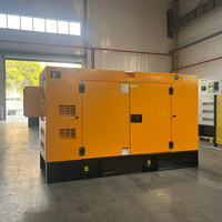 Generador Diésel Silencioso Trifásico de 50kw 100kw a Precio de Fábrica, Generador de 25kva 20kw 24kw 30kw con Motor Cummins