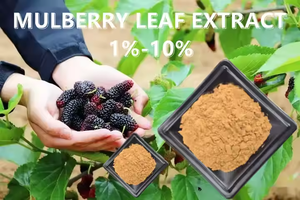 ผงสารสกัดจากใบหม่อนบรรจุจำนวนมาก - Product Image 2