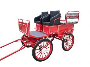 Chariot de chevaux de marathon à 4 roues avec cadre en acier au design unique pour le tourisme - Product Image 1