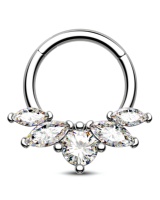 OEM/ODM ASTM F136 Titane 16G Poire CZ Articulé Clicker Segment Cerceau Anneau 8mm/10mm Articulé Daith Clicker Septum Nez Bijoux