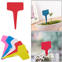 Étiquettes de jardin en plastique PP imperméable épaisses et améliorées, type T, 10x6 cm, 1 mm d'épaisseur, marqueurs de plantes pour pépinière