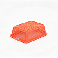 Panier de Rangement et d'Égouttage en Plastique PP Coloré pour Fruits et Légumes, Taille et Capacité Personnalisables, Haute Qualité, Vente en Gros