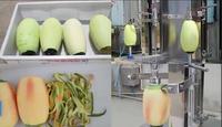 Direct Selling Wax Kalebas Peeling Machine Fruit En Groente Schilmachine Butternut Squash Dunschiller Machine
