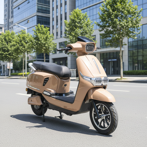 Motocicleta Eléctrica Vintage Hecha a Medida con Pintura Personalizada, Suspensión Estable, Bicicleta Urbana <span class=keywords><strong>de</strong></span> Alto Valor para Paseos - Product Image 1