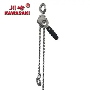 Lever Hoist G80 Chain Manual Mini Gruas Liga de Alumínio Tipo Durável Mini 0.5t 250kg Ratchet Chain Hoist 0.25t