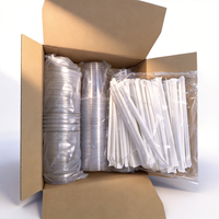 Lot de 100 gobelets jetables transparents de 16 oz pour boissons glacées, avec paille et couvercle, qualité alimentaire, idéal pour pique-niques, mariages et boissons froides