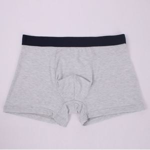Men's <b>Boxer</b> Underpants Male Stretch Shorts Boys Underwear Breathable Lingerie Men Comfortable <b>Boxer</b> - Product Image 2
