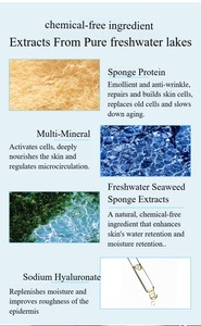Mascarilla Exfoliante de Algas Azules Naturales, Polvo de Espículas de Sílice Biogénica para Belleza Estética y Spa de Salud, Éxito de Ventas - Product Image 6