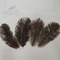 Plumes d'autruche brunes naturelles 30-35 cm, provenance Afrique du Sud, pour décoration de fêtes, loisirs créatifs et fournitures artistiques