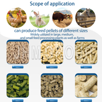 Nouvelle Granulatrice Durable Haute Capacité 10 Tonnes/h pour Aliments Animaux – Machine à Granulés à Rouleaux pour Volailles, Porcs, Bovins, Moutons, Poulets